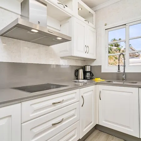 Wonderful Penthouse Nerja